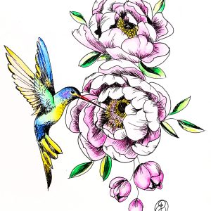 Kolibri - Hummingbird art print